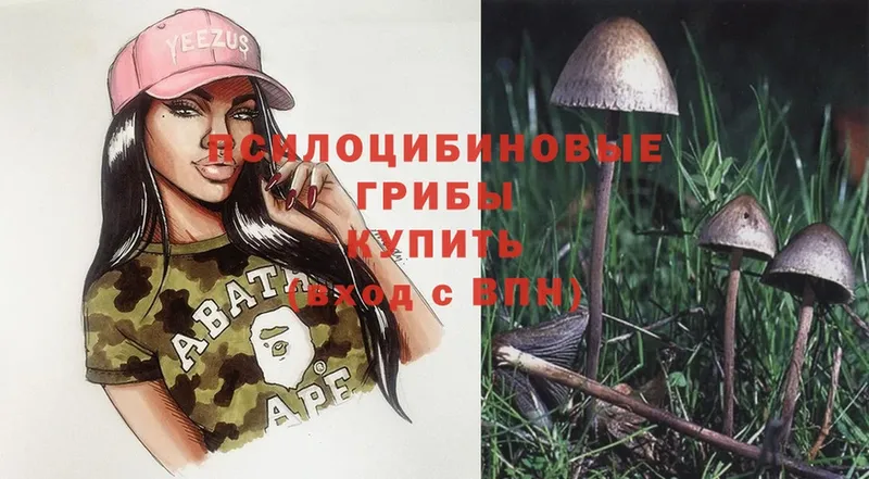 Псилоцибиновые грибы Magic Shrooms  Пятигорск 